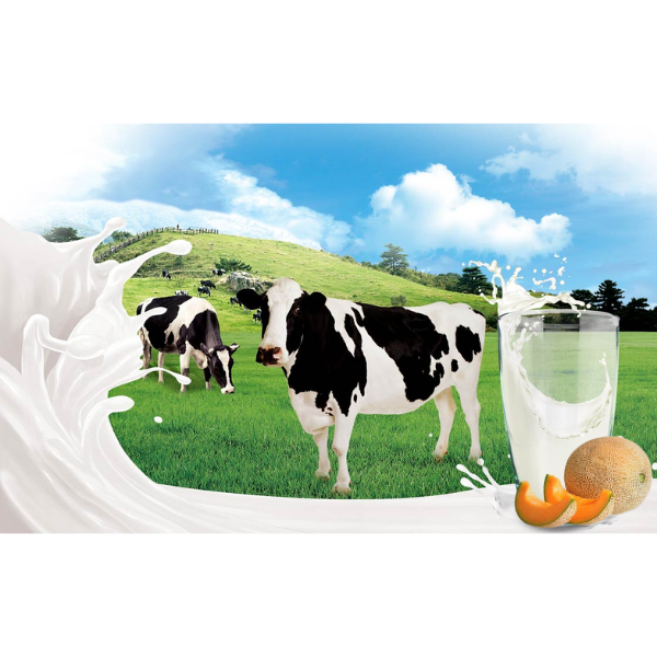 Bingre Melon Milk 200ml