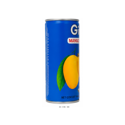 Gina 240ml Mango Nectar 240ml